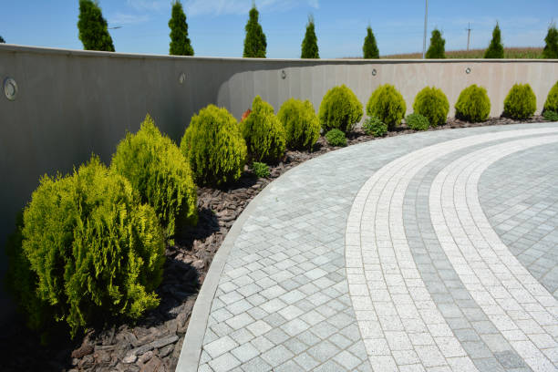 Best Interlocking Driveway Pavers  in Millport, AL